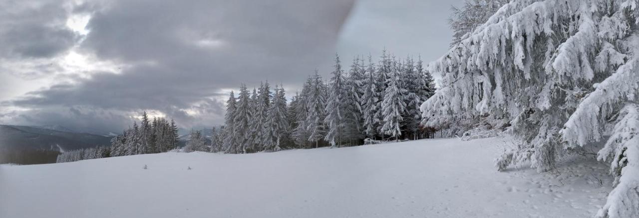 Appartamento Apartament Nad Strumykiem Lądek-Zdrój Esterno foto